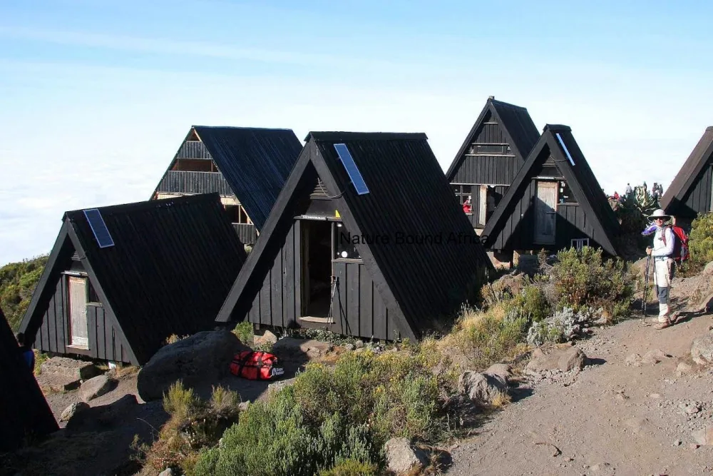 Horombo Hut accommodation photo 2