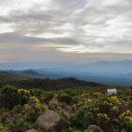 Horombo Hut accommodation photo 3