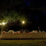 Serengeti Serena Safari Lodge accommodation photo 5