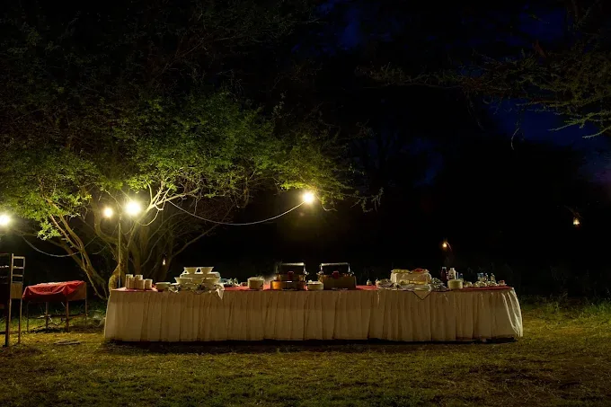 Serengeti Serena Safari Lodge accommodation photo 5